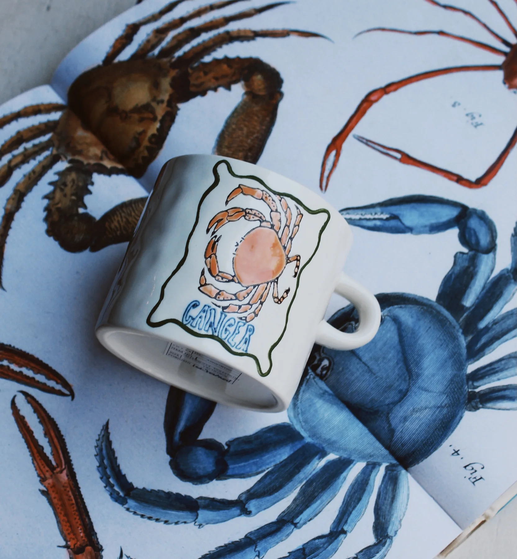 Anna + Nina - Zodiac mok Cancer - Image 4