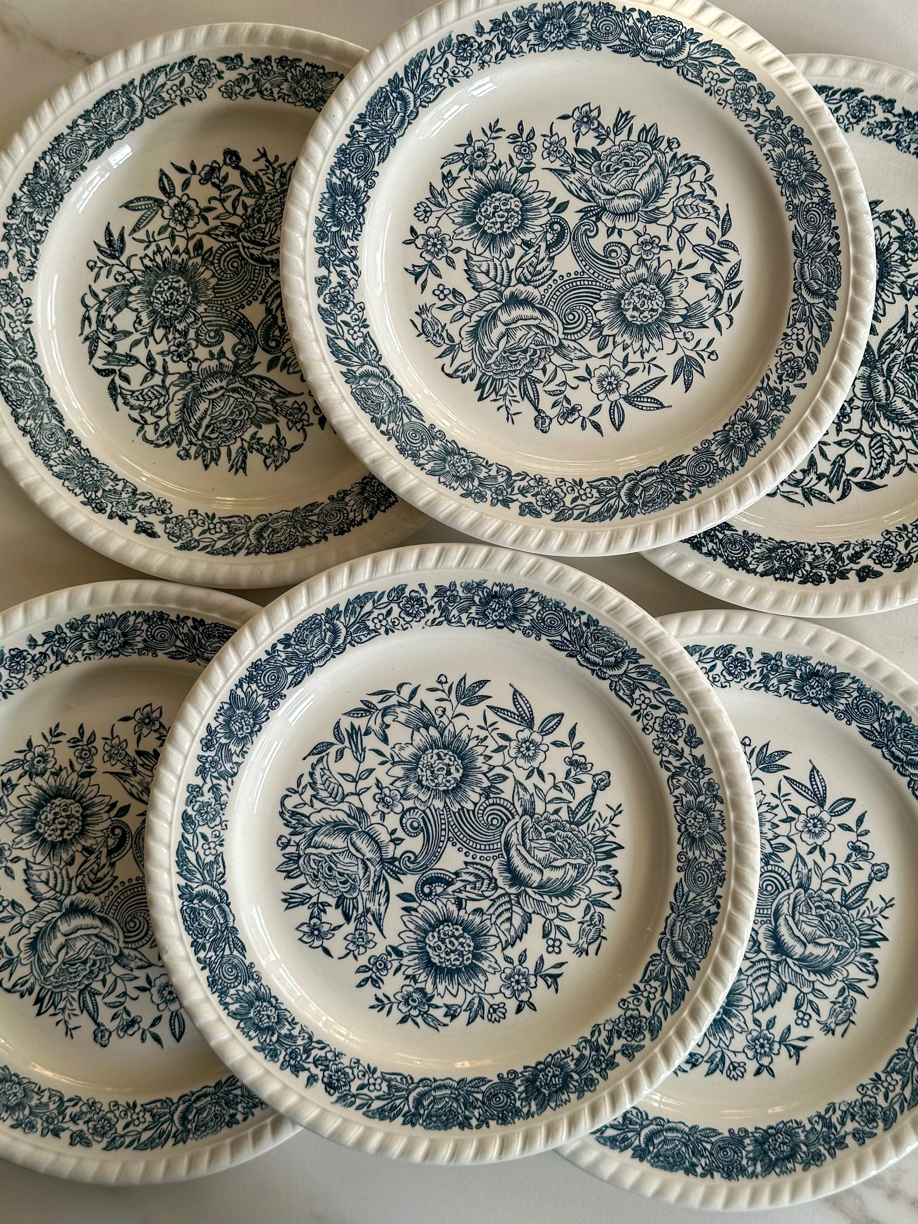 Vintage Franse borden met blauw bloemenmotief - set van 6